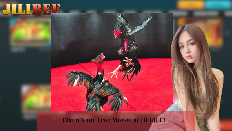 how to bet on the horses