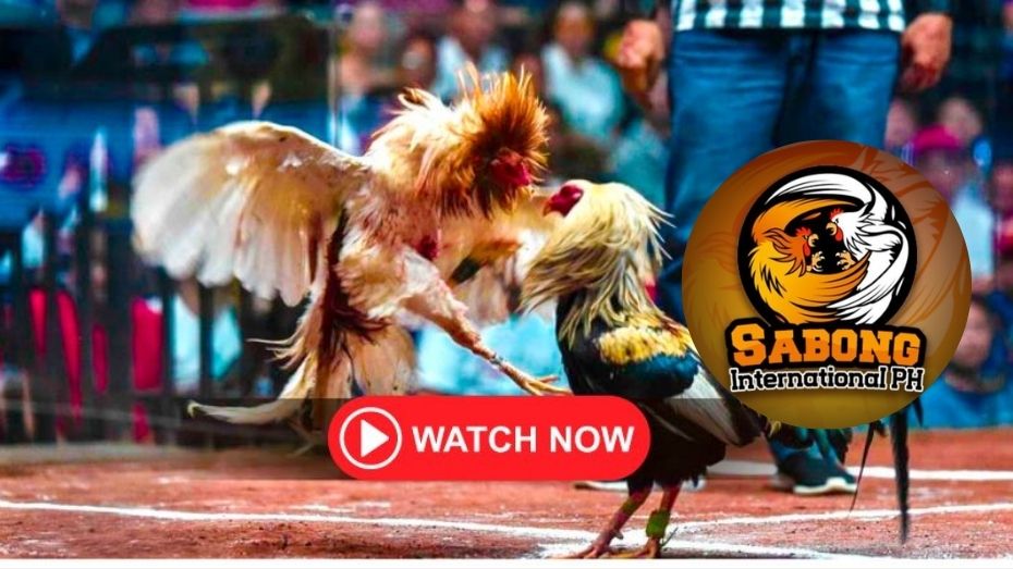 wild 777 vegas slot what is a treble bet in football